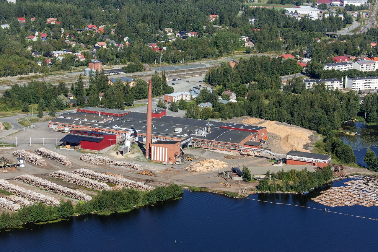 wet veneer production plant