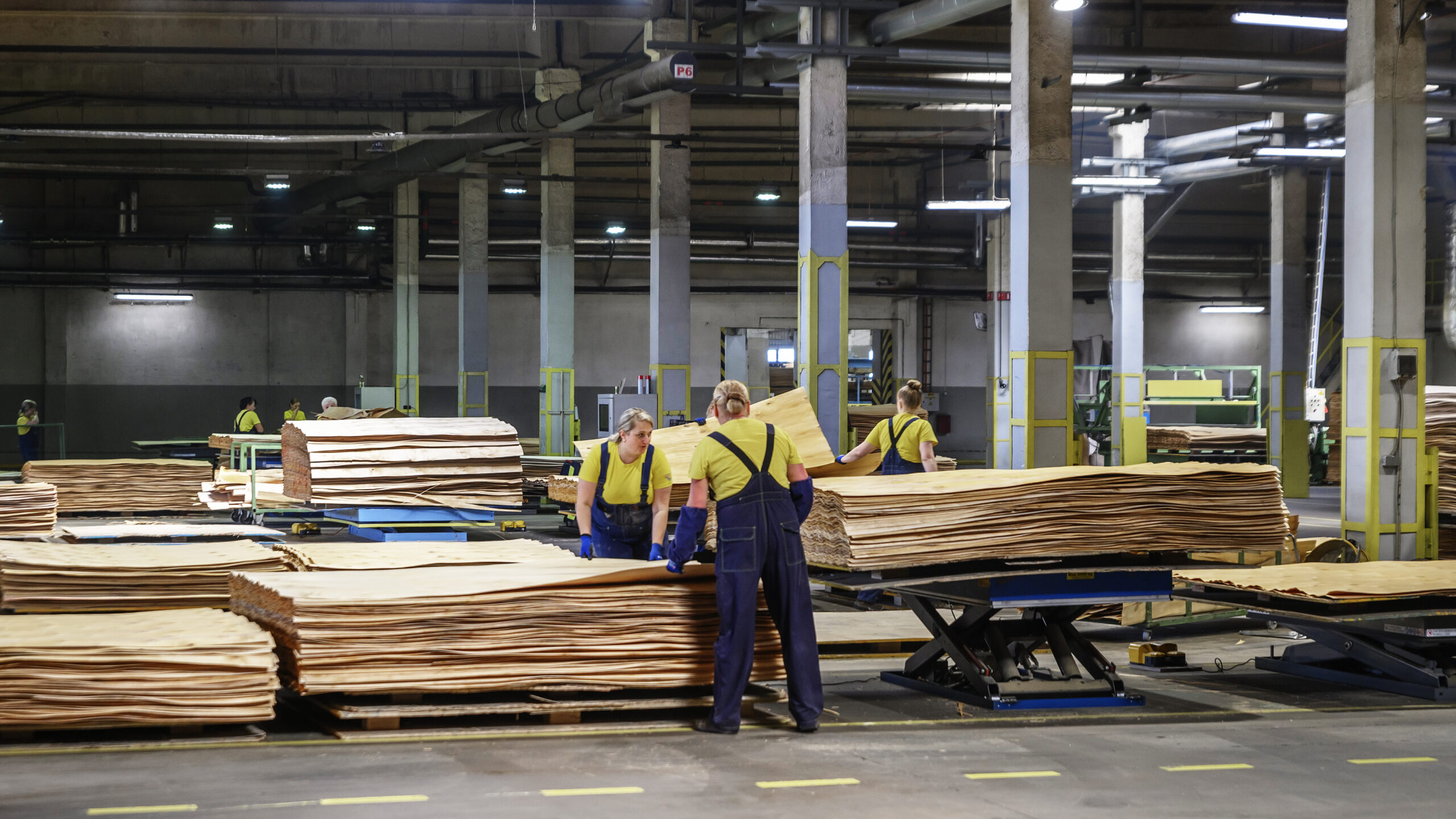 workers sorting birch plywood sheets in plywood mill